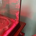 Profile Picture of bearded dragon power👊🏼🦎 (@cecelia_aka_cici) on Instagram