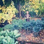 Profile Picture of David Panza (@eaynstutin45) on Instagram