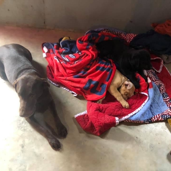 Profile Picture of Jonathan Wilkson (@jonathanwilkson) on Poshmark