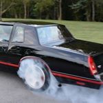 Profile Picture of Baltazar (@se_pelo_baltazar) on Instagram