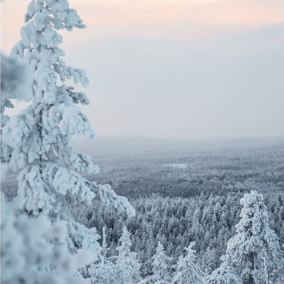 Profile Picture of Amanda Rulapaugh (@arulapaugh) on Poshmark