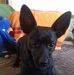 Profile Picture of Sara Weißbrot (@Sara-Weißbrot) on Facebook