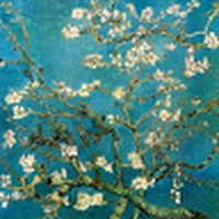 Profile Picture of Lucía Quesada (@lucía-quesada-1) on Quora