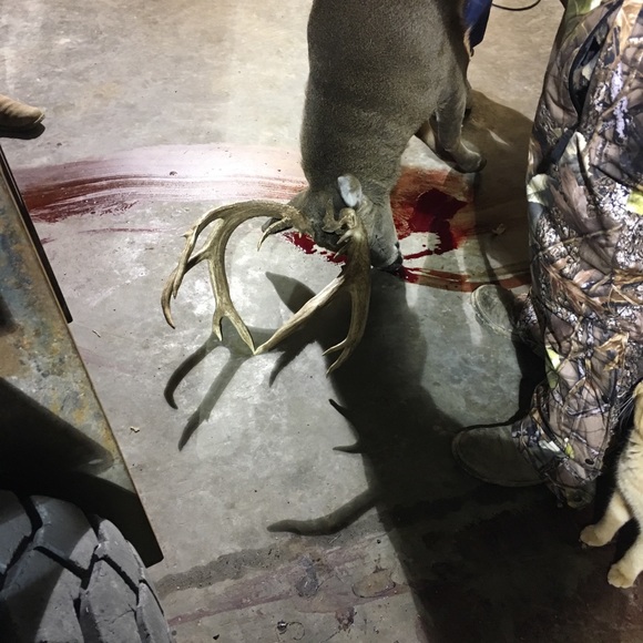 Profile Picture of Benjamin Moreno (@benji57) on Poshmark