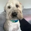 Profile Picture of Jeffrey Pat (@jeffreypat322) on Tiktok