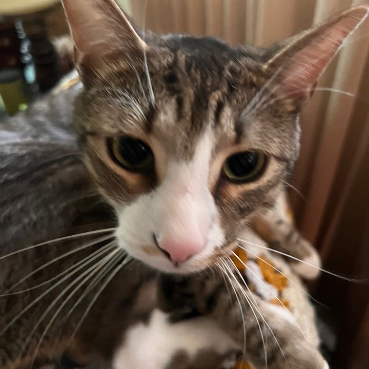 Profile Picture of nancyrusinko (@nancyrusinko) on Tiktok