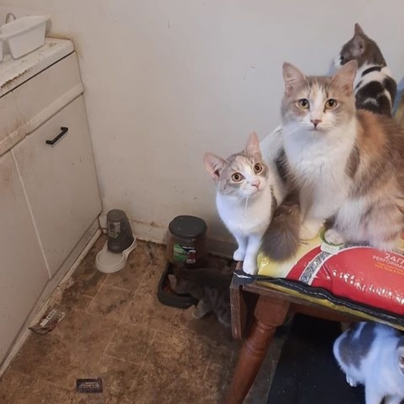 Profile Picture of Dave Surma (@davesurma) on Poshmark