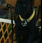 Profile Picture of Pamela Irizarry (@moraima.nieves) on Facebook