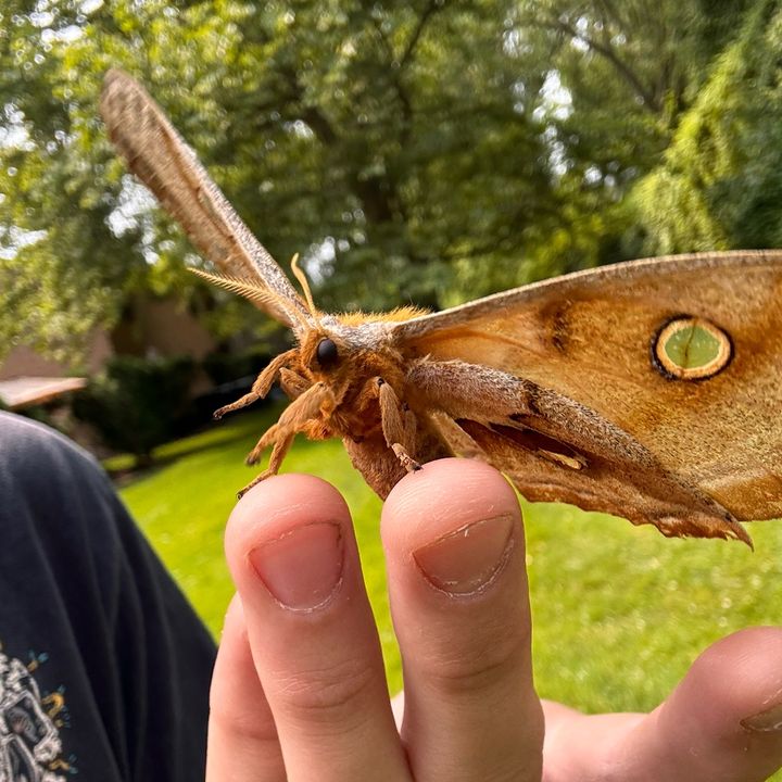 Profile Picture of Matthew.Deerman (@matthew.deerman) on Tiktok