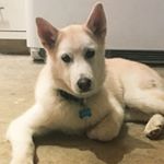 Profile Picture of Casper Everett (@caspereverett) on Instagram