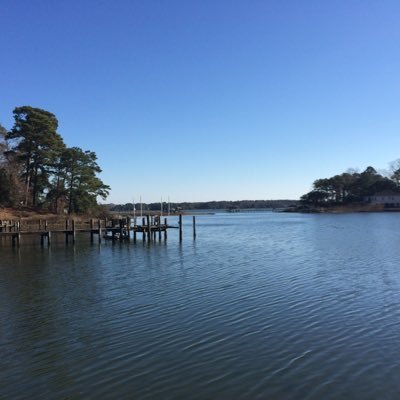 Profile Picture of Dan DeLalla (@DandeLalla) on Twitter