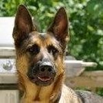 Profile Picture of LuAnn Gallagher-Shinault (@gallaghershinault) on Instagram