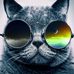 Profile Picture of Mark Kafka (@Mark-Kafka) on Facebook