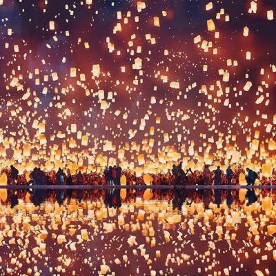 Profile Picture of BouncingParrot (@YichenWu12) on Twitter