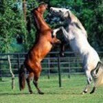 Profile Picture of ramirez.aaron (@ramirez.aaron) on Instagram