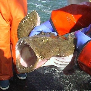 Profile Picture of Jessica Mummery (@sexturkey) on Myspace