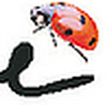Profile Picture of Jujreese (@jujreese) on Flickr