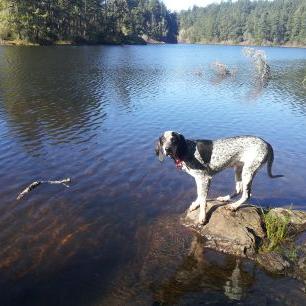 Profile Picture of Kerry G. (@KerryGauthier1) on Twitter