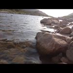 Profile Picture of michael jackson (@pop_king_of) on Instagram