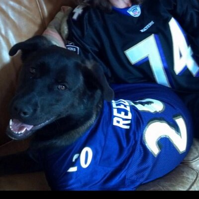 Profile Picture of Ali Lathroum (@alisonML33) on Twitter