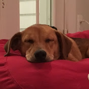 Profile Picture of Jack Cain (@jackcain4402) on Youtube