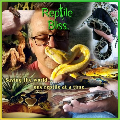 Profile Photo of G.R. Bliss (@GRBliss) on Twitter