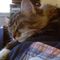 Profile Picture of Kris Mattson (@kris.mattson) on Facebook