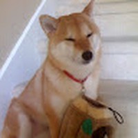 Tosh Miyairi - Quora Profile Picture of Tosh Miyairi (@tosh-miyairi) on Quora