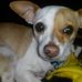 Profile Picture of Lori Quintero (Lori Ballew) (@lori.quintero.1) on Facebook