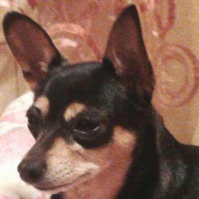 Profile Picture of Edoardo Tommasi (@EdoardoTommasi3) on Twitter