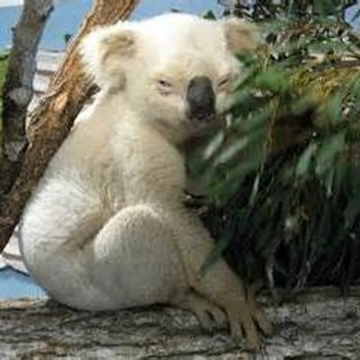 Profile Picture of Hazel Kings (@HazelKings3) on Twitter