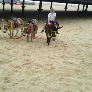 Profile Picture of Dawn Barrett (@dawnbarrett67) on Twitter