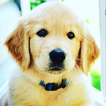 Profile Picture of Rahul Jadhav (@rahuljadhav3) on Flickr