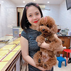 Profile Picture of Ngoc anh Luong (@dragonfly19061) on Flickr
