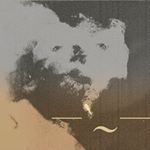 Profile Picture of Coline Termash (@brevemacula) on Instagram