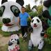 Profile Picture of Peter Heng (@peter.heng.1217) on Facebook
