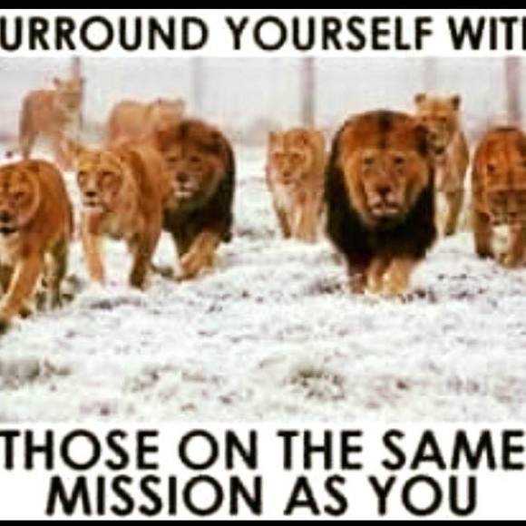 Profile Picture of Jeff Allen (@jeff1334) on Poshmark