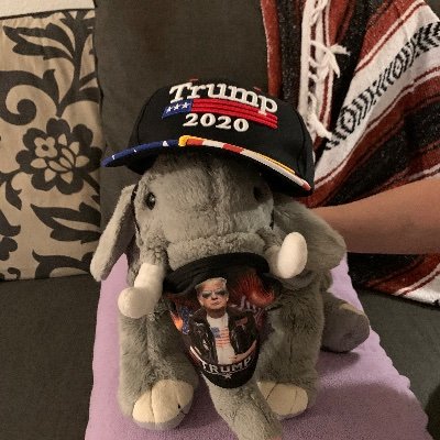 Profile Picture of Richard Harries Sr (@harries_sr) on Twitter