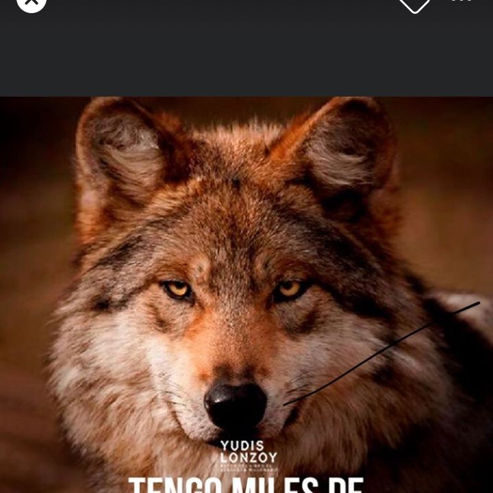 Profile Picture of David Knezevich (@davidknezevich0) on Tiktok