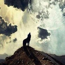 Profile Picture of HaDeM (@HaDem37) on Twitter