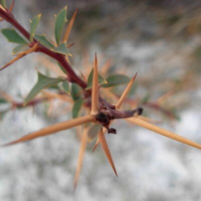 Profile Picture of José Armando Weisser (@windfreund) on Twitter