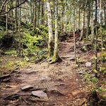 Profile Picture of Eric Rousseau (@eric_rousseau) on Instagram