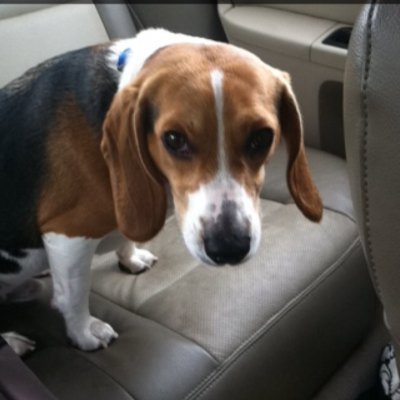Profile Picture of Amber McAdoo (@@a_mcadoo) on Twitter