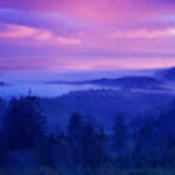 Profile Picture of Dawn Astra (@dawnanddusk1) on Poshmark