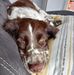 Profile Picture of Andrew Dunlop (@andrew.dunlop.9231) on Facebook