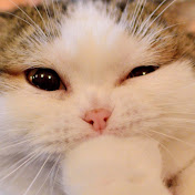 Profile Picture of CALEB John Ondona (@CedricOndona) on Youtube