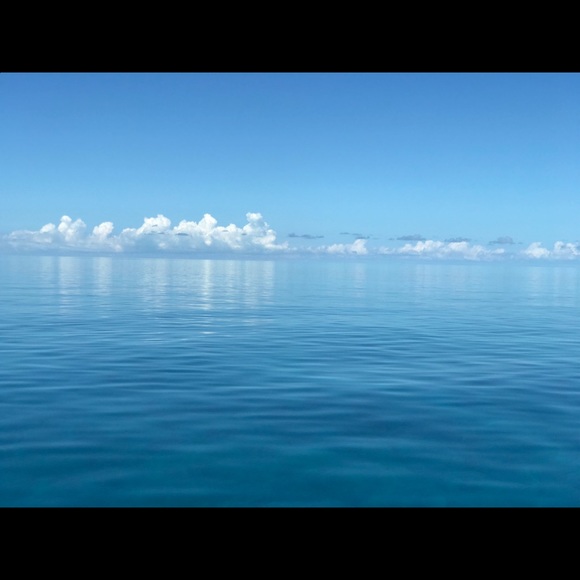 Profile Picture of Rachael Sands (@sandsandrea) on Poshmark