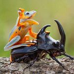 Jason Beadle - Instagram Profile Picture of Jason Beadle (@spyder221) on Instagram