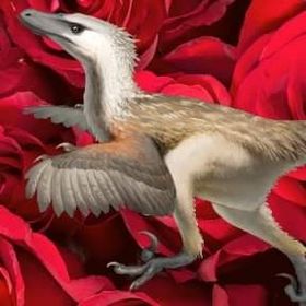 Profile Picture of Rose Dinosaur (@rosethedinosaur) on Pinterest