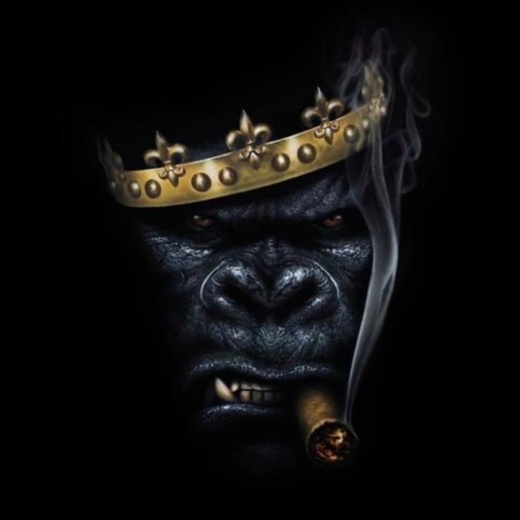 Profile Picture of Nicolas Gomez (@nicolasgomez749) on Poshmark